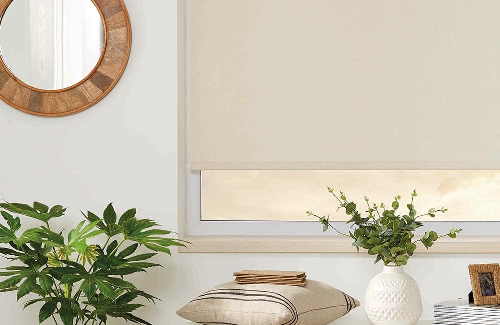 Coastal-inspired window treatments with light-colored roller blinds and indoor plants for a fresh, airy look.
