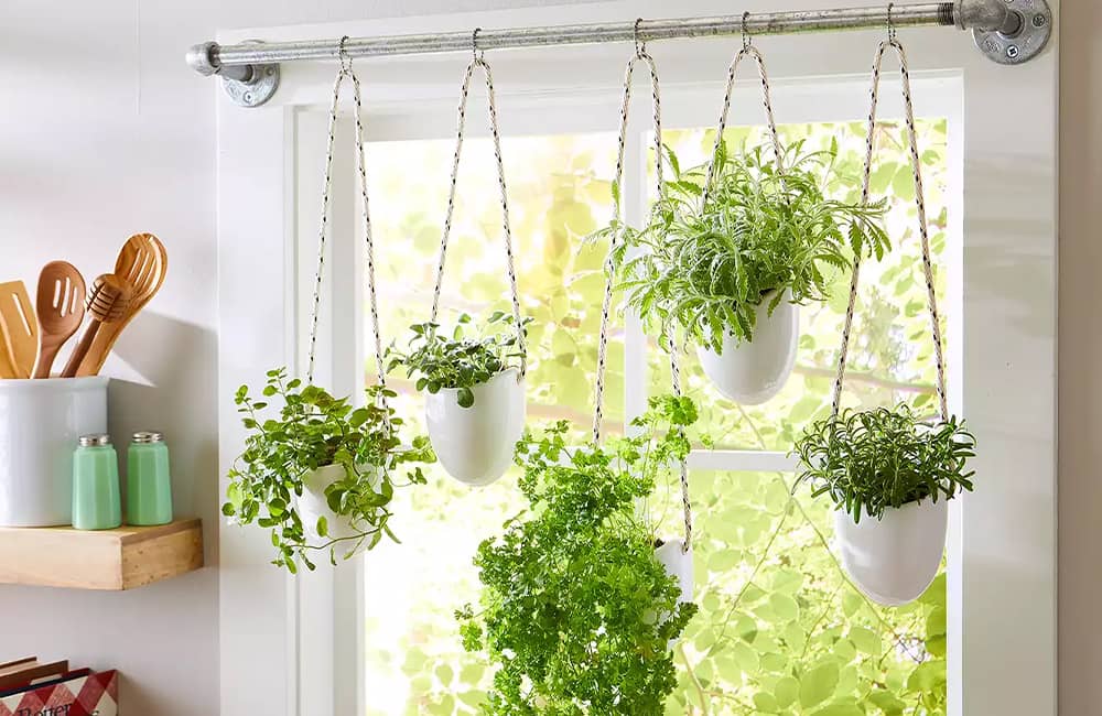 Hanging indoor herb garden with five potted plants near a sunlit window.