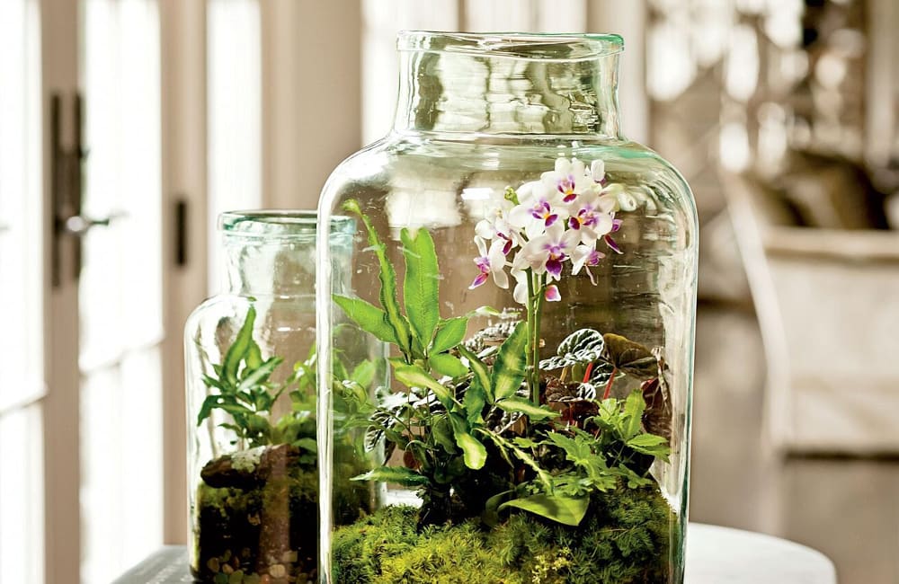DIY indoor terrarium with colorful orchids and lush greenery in glass jars.