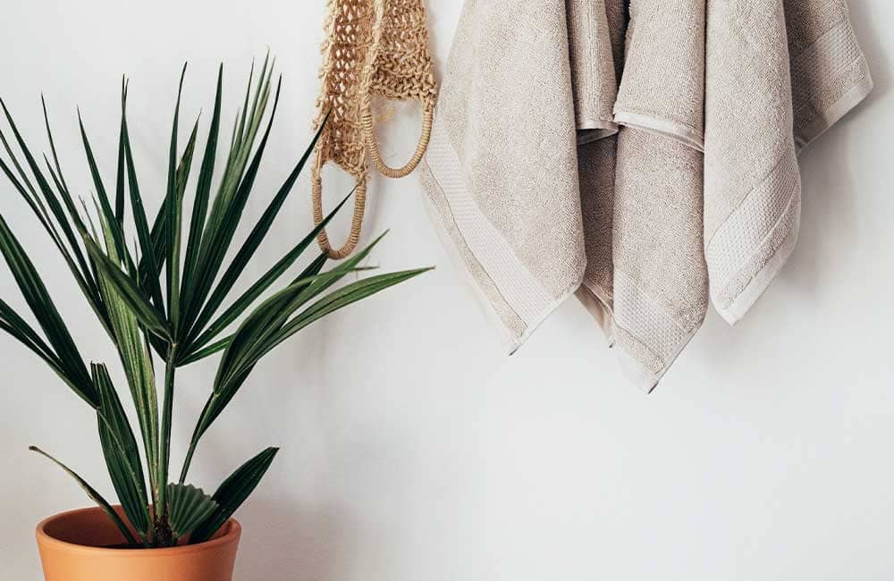 Neutral towels hanging on a wall next to a potted plant, creating a serene bathroom atmosphere.