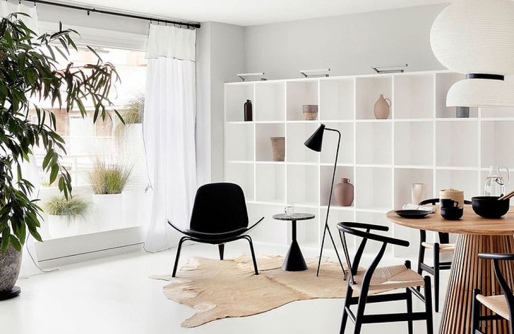 Minimalist living room featuring modern furniture, a plant, and natural light.